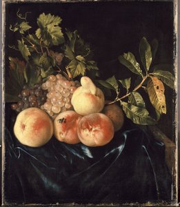 Ainda vida com pêssegos e uvas óleo sobre tela