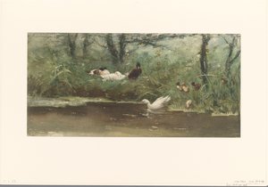 Patos no lado da vala de Willem Maris