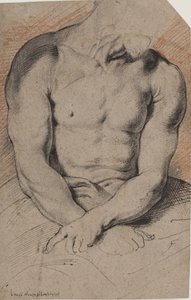 Cristo Coroado com Espinhos. O tronco de Cristo. Depois de Van Dyck de Willem Panneels