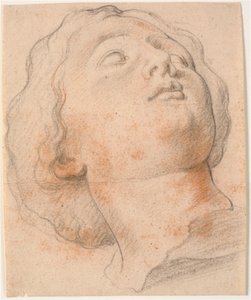 Cabeça de mulher romana, perfil de quarto virado para a direita de Willem Panneels