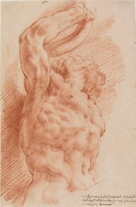 Laocoonte. O torso de Laocoon é visto de baixo à direita. de Willem Panneels