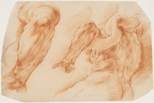 Laocoonte. Estudos do braço esquerdo de Laocoon e da parte de trás de seu torso vistos da esquerda e de baixo