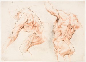 Dois estudos anatômicos de um homem inclinado para a esquerda e outro visto por trás com o braço levantado (écorché) de Willem Panneels