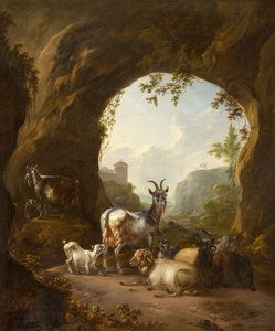 Cabras e ovelhas em uma gruta