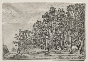 O conjunto das paisagens: duas pranchas-sebes, 1616.