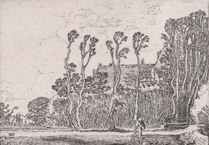 The Sower, de Verscheyden Landtschapjes Various Little Landscapes, Plate 5, ca. 1616.