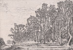 Duas Sebes de Prancha, de Verscheyden Landtschapjes Várias Pequenas Paisagens, Placa 6,..., ca. 1616.