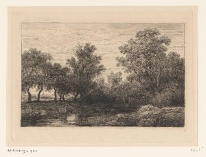 Brook de Willem Roelofs (I)