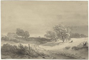 Paisagem dunar em tempo sombrio de Willem Roelofs (I)