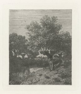 Patos numa vala de Willem Roelofs (I)