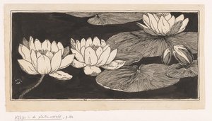 Waterlilies de Ludwig Willem Reymert Wenckebach