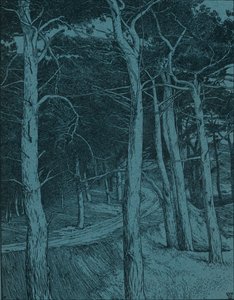 Floresta, c1912