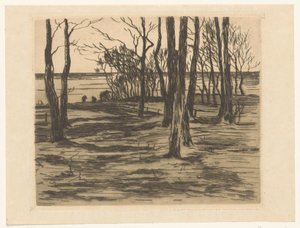 Árvores à beira-mar em Valkeveen de Willem Arnoldus Witsen