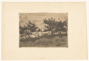 Árvores sobre uma colina de Willem Arnoldus Witsen