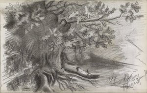 Paisagem com uma grande árvore em Rhenen de Willem Arnoldus Witsen