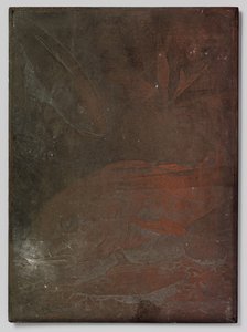 Peixes num aquário de Willem Arnoldus Witsen