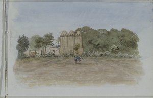Torres de pombos em um pedaço de terra