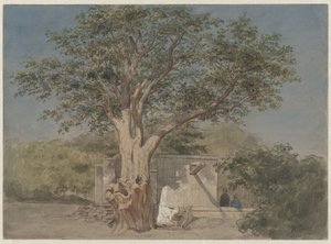 Cabana debaixo de árvore no Cairo