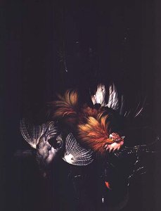 Imagem desconhecida de Willem van Aelst