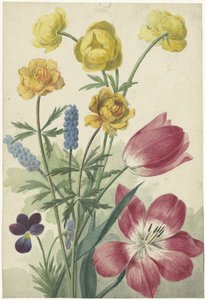 Bouquet de tulipas, panquecas, uvas azuis e pontilhos
