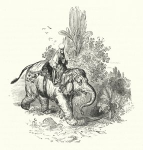 Abd-El-Kuddoos on the Elephant (gravura) de William (after) Harvey
