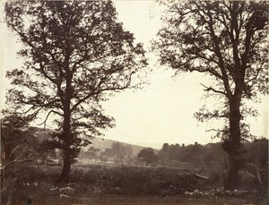 Paisagem com olmos, Ashdown, Grã-Bretanha de William 2nd Earl of Craven