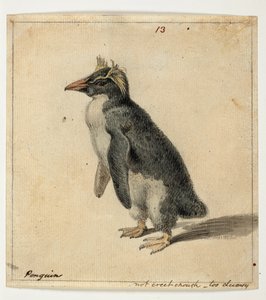 DM 961 f.13 de William Alexander