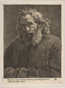 Velho com uma barba longa, 1761.