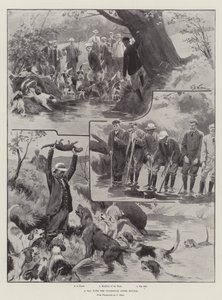 Um dia com os cães da raça Otter de William Barnes Wollen