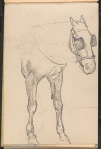 Esboço de cavalo com antolhos, por volta de 1879 de William Barnes Wollen