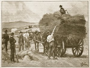 A economia das colheitas do Capitão Boicote, ilustração da gravura de "História Ilustrada de Inglaterra" de Cassell (foto sépia)
