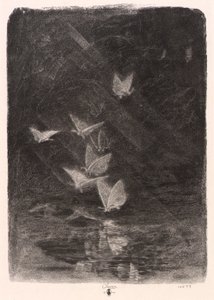 Traças nocturnas