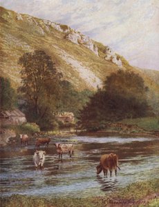 No Wye, Upper Dale Farm, Monsal Dale (cor litho) de William Biscombe Gardner