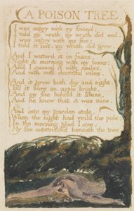 &39;A Poison Tree&39;, gravura 40 de &39;Songs of Experience&39;, 1794 (gravura em relevo impressa em cores com aquarela) de William Blake