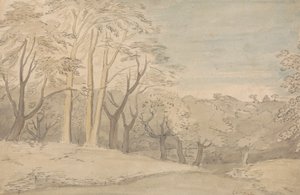 Uma Paisagem de Madeira de William Blake