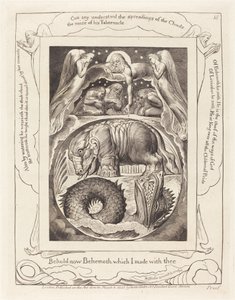 Behemoth e Leviatã de William Blake