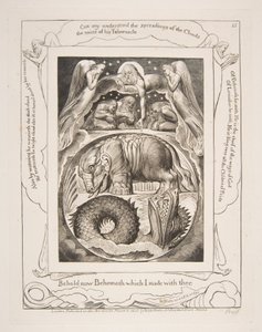 Behemoth e Leviathan, das Ilustrações do Livro de Jó, 1825-26. de William Blake