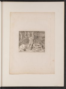 O desespero de Jó de William Blake