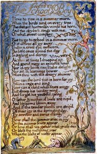 P.125-1950.pt53 The School Boy: plate 53 from Songs of Innocence and of Experience (copy AA) c.1815-26 (gravura, tinta e aguarela) de William Blake