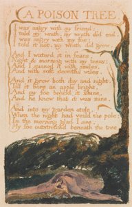 Canções da Inocência e da Experiência, Placa 41, "A Poison Tree" (Bentley 49) de William Blake
