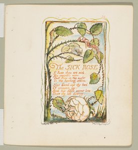 Canções de Inocência e de Experiência: The Sick Rose, ca. 1825. de William Blake