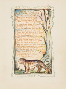 Canções de Inocência e de Experiência: O Tyger, ca. 1825. de William Blake