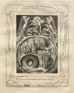 O Livro de Jó: Pl. 15, Eis agora Behemoth que fiz contigo de William Blake