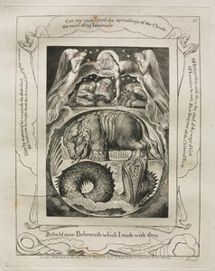 O Livro de Jó: Pl. 15, Eis agora o gigante que eu fiz contigo, 1825. de William Blake