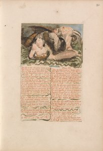 O primeiro livro de Urizen, ilustração 26, O boi no matadouro geme .... (Bentley 25) de William Blake