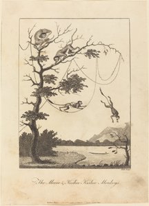The Mecoo & Kisbee Kishee Monkeys, 1793. de William Blake