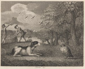O Cão de Montagem e a Perdiz de William Blake
