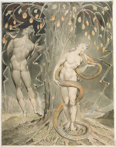 A Tentação e a Queda de Eva (Ilustração para «O Paraíso Perdido», de Milton) de William Blake