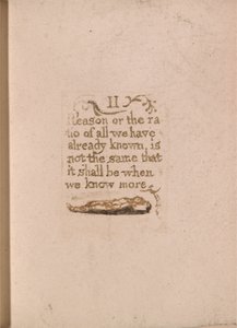 Não há religião natural, ilustração 11, razão II ou a razão. . . . (Bentley b4) de William Blake