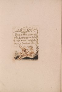 Não há religião natural, ilustração 5, III De uma percepção. . . . (Bentley a6) de William Blake